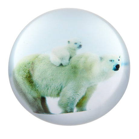 Polar Bear Dome Paperweight (1 PC)
