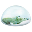 Polar Bear Dome Paperweight (1 PC)