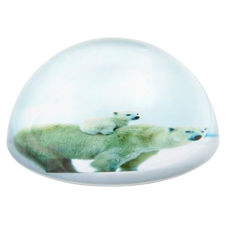 Polar Bear Dome Paperweight (1 PC)