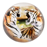 Tiger Dome Paperweight (1 PC)
