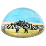 Zebra Dome Paperweight 80 mm