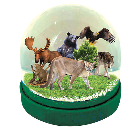 Water Ball N American (60mm)