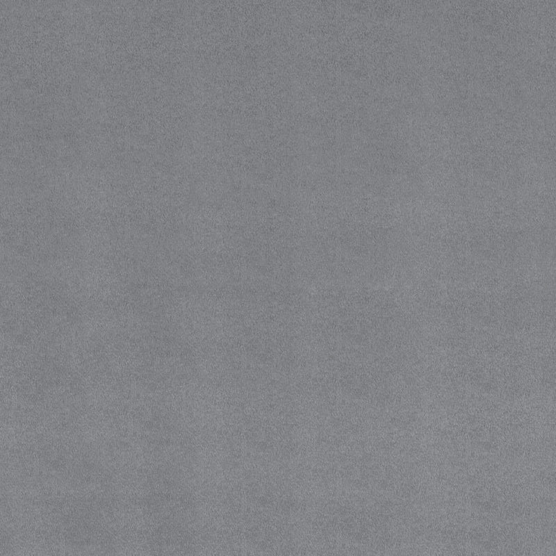 Cuddle Fabric Solid Alloy by the Yard