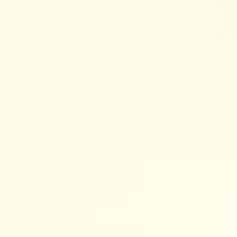 Ivory Cuddle Fabric Per Yard