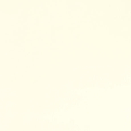 Ivory Cuddle Fabric Per Yard