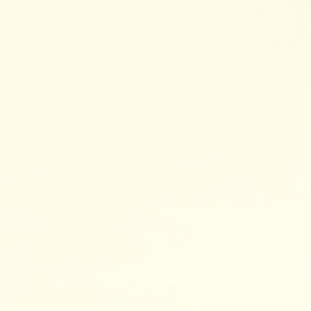 Ivory Cuddle Fabric Per Yard
