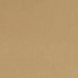 Minky Cuddle Fabric Solid Sand by the Yard