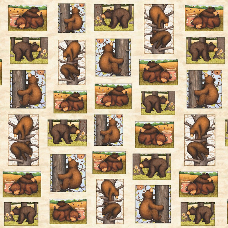 Fabric Panel Sweet as Honey Honey Bear Picture Frames Quilting Treasures