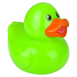 Duckies Rubber Duckies (12 Pc Display)