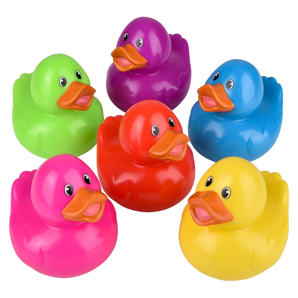 Rubber Duckies Display (12 Pc)