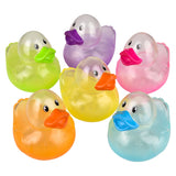 Translucent Duckies (12 Pc Display)