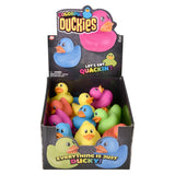Rubber Duckies Assorted Colors 2" (24 Pack Display)