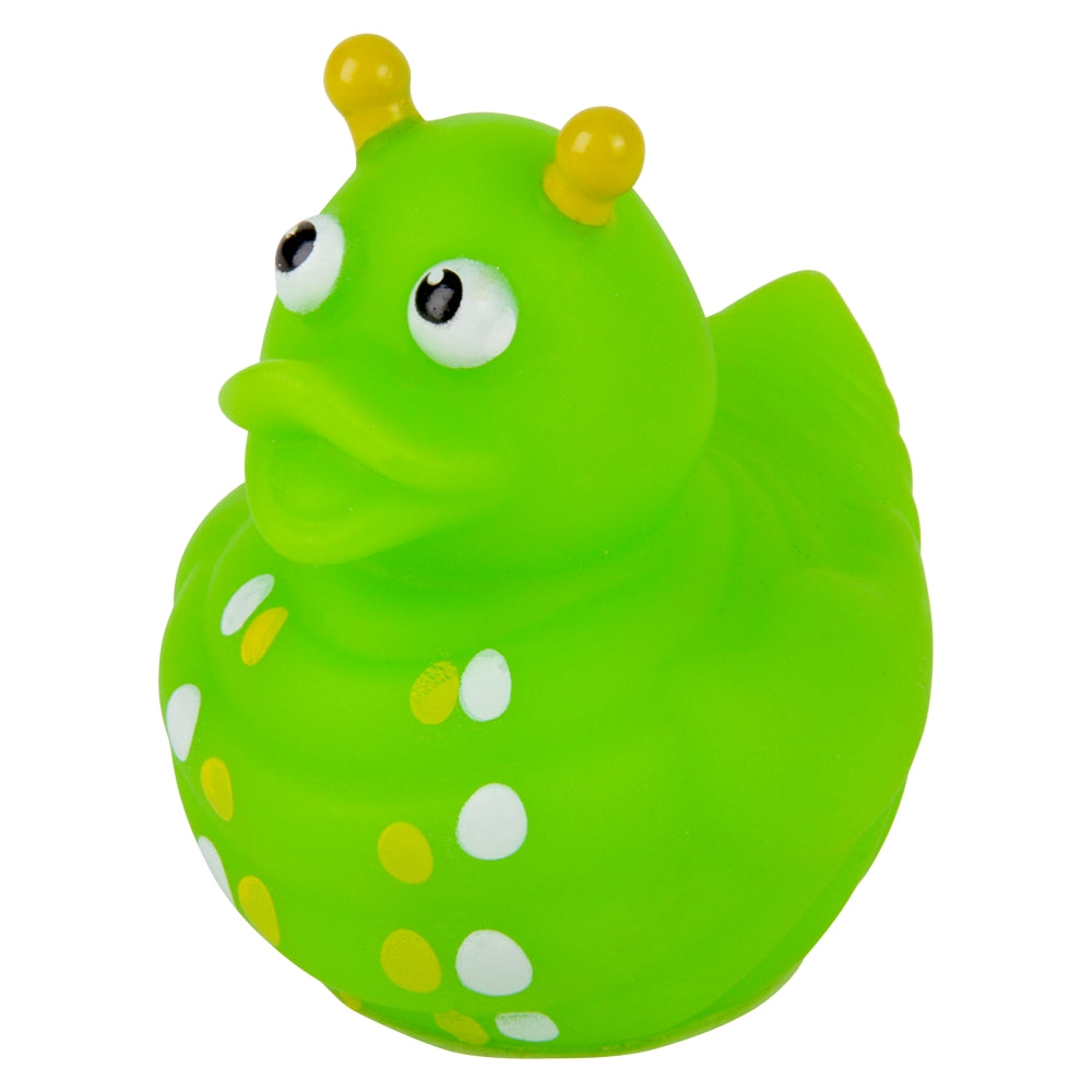 Insect Duckies (1 DZ)