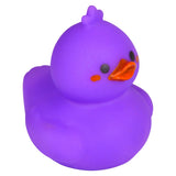 Kawaii Rubber Duckies (1 DZ)