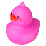Kawaii Rubber Duckies (1 DZ)
