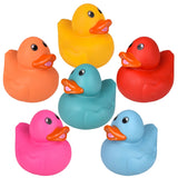 Rubber Ducky Collectible 5.5" (1 DZ)