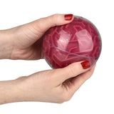 Maze Ball Assorted (12 PC Display)