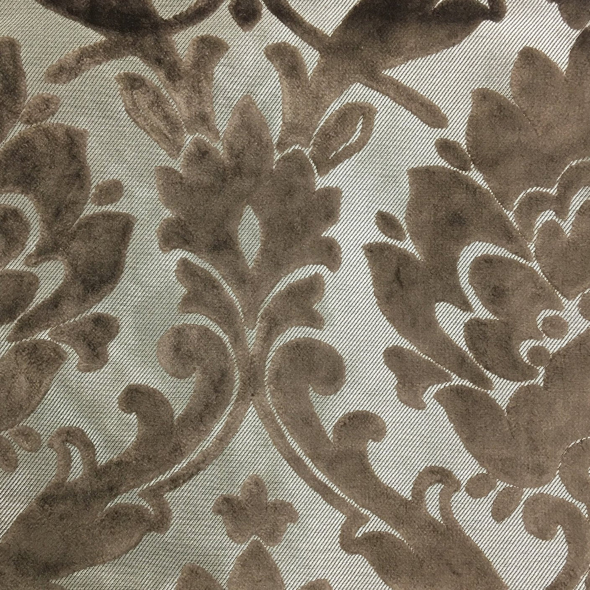 Burnout Velvet Upholstery Fabric Nottingham Damask