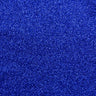 Radiance Heat Transfer Glitter Polyester Fabric - Glitter, Heat Transfer Adhesive Backing, 40" Width (1 Yard)