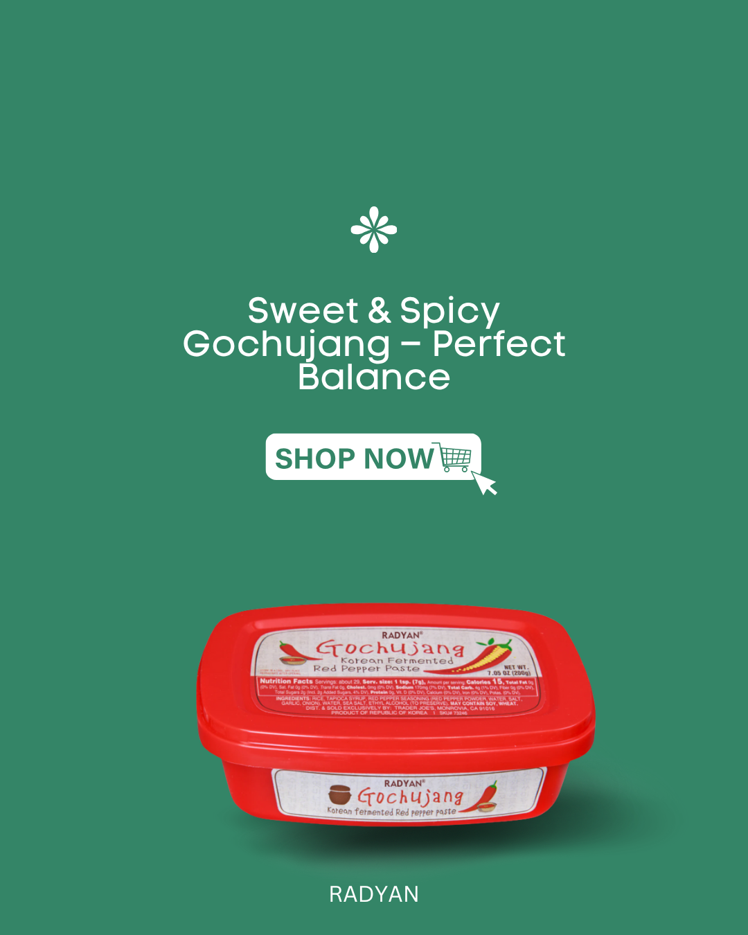 Radyan Sweet & Spicy Gochujang – Perfect Balance