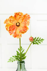29" Giant Ranunculus Stem