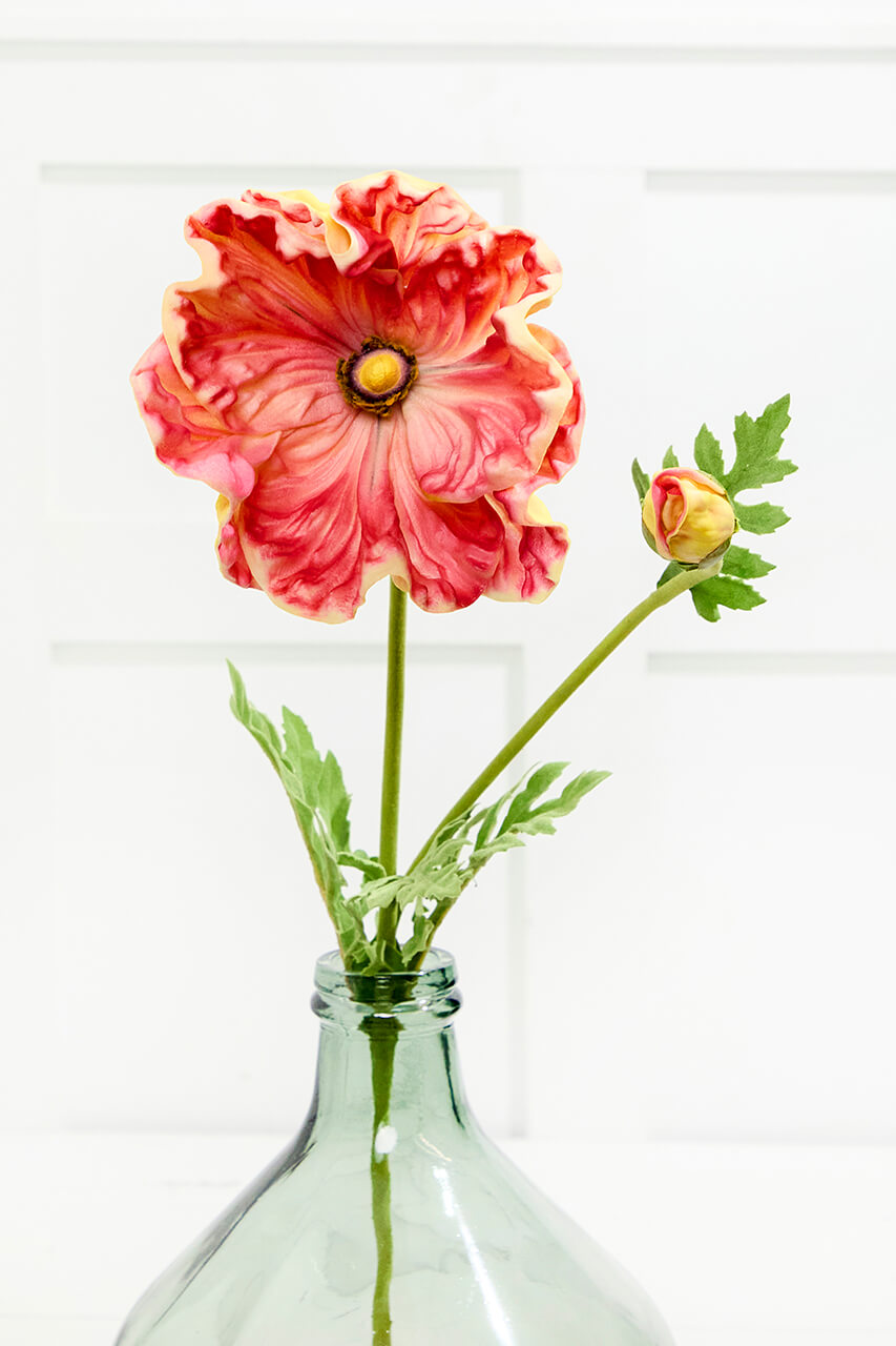 29" Giant Ranunculus Stem