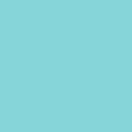 Raschel Nylon Spandex Fabric - 2-Way Stretch, Solid Colors, 58/60" Width (1 Yard)