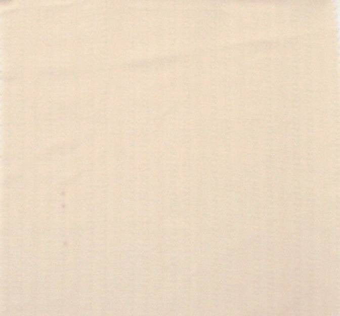Rayon Jacquard 1D764 Ecru Rayon Fabric - Ecru Jacquard, 54/55" Width (1 Yard)