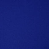 Recycled Interlock Active 100% Recycled Polyester Fabric - Solid Colors, Interlock Knit, 58/60" Width, 200 GSM (1 Yard)