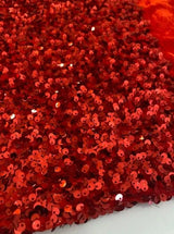 Sequin on Velvet Stretch Fabric