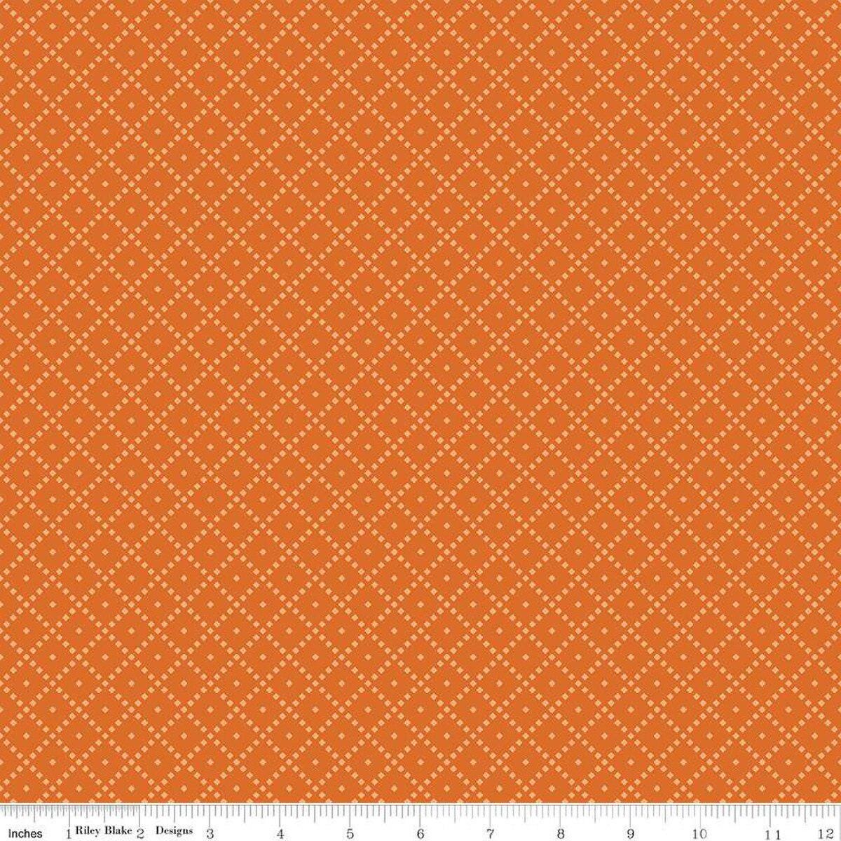 Quilting Cotton The Awe of Autumn Grid Orange Riley Blake Designs