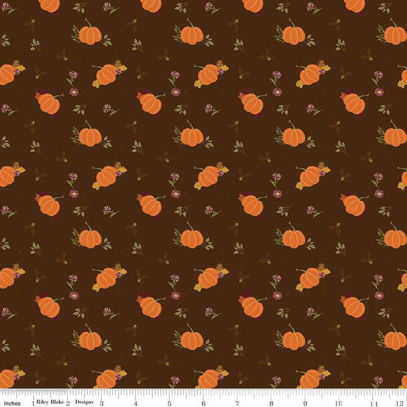 Quilting Cotton The Awe of Autumn Pumpkins Brown Riley Blake Designs
