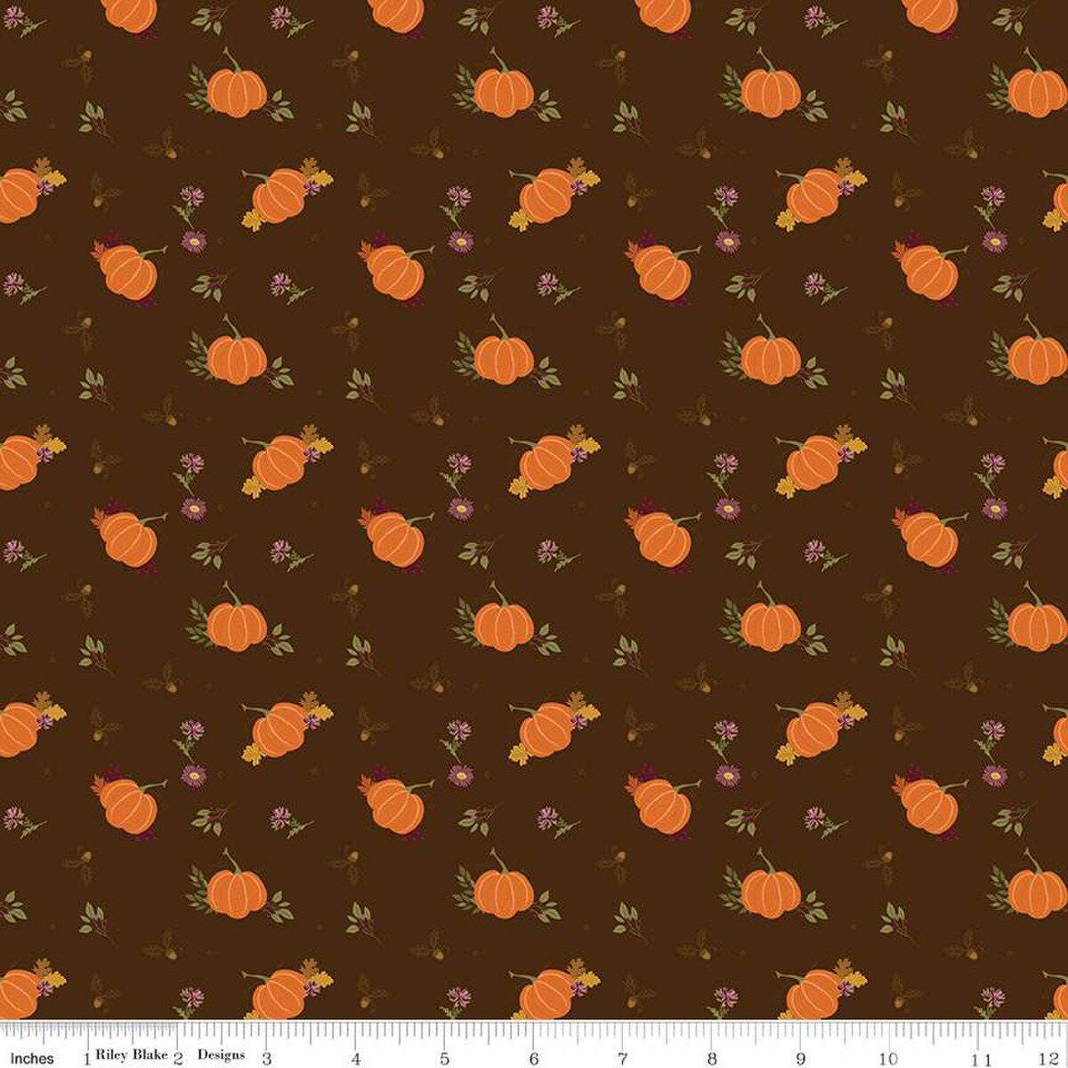 Quilting Cotton The Awe of Autumn Pumpkins Brown Riley Blake Designs