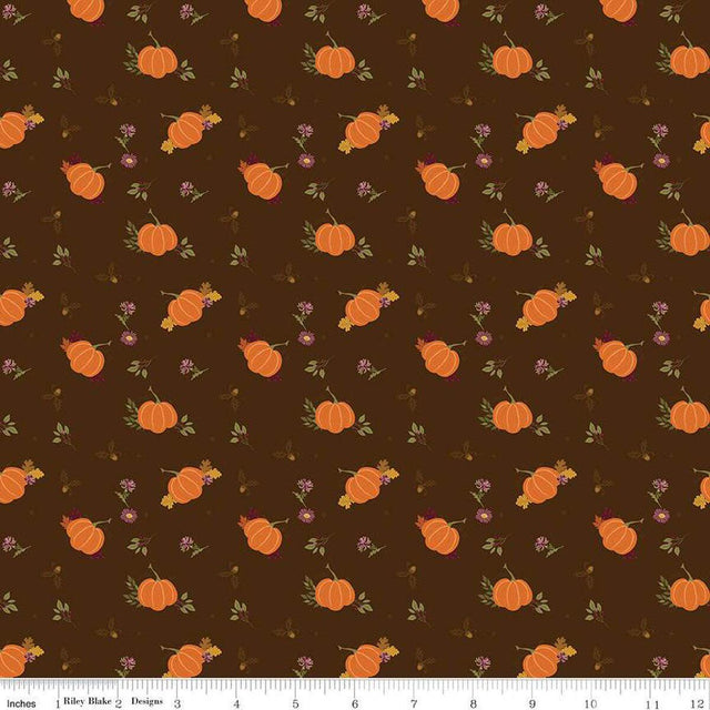 Quilting Cotton The Awe of Autumn Pumpkins Brown Riley Blake Designs