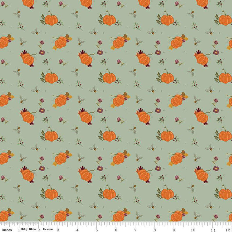 Quilting Cotton The Awe of Autumn Pumpkins Hazy Riley Blake Designs