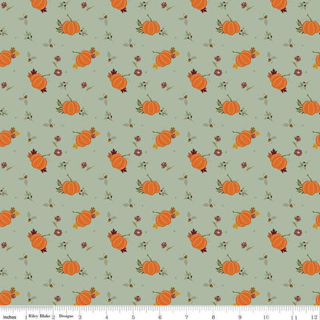 Quilting Cotton The Awe of Autumn Pumpkins Hazy Riley Blake Designs