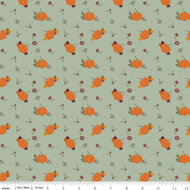 Quilting Cotton The Awe of Autumn Pumpkins Hazy Riley Blake Designs