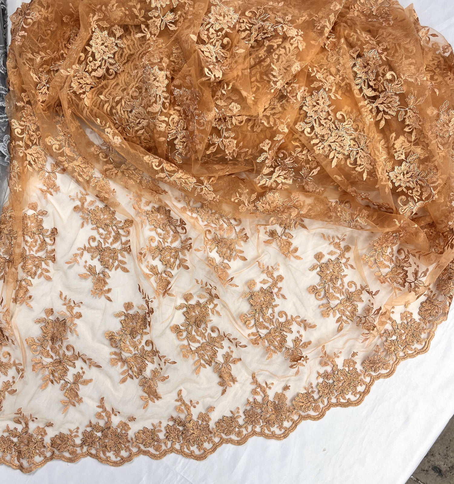 Corded Floral Lace Fabric - Scalloped Edges, 53" Width (1 Yard)