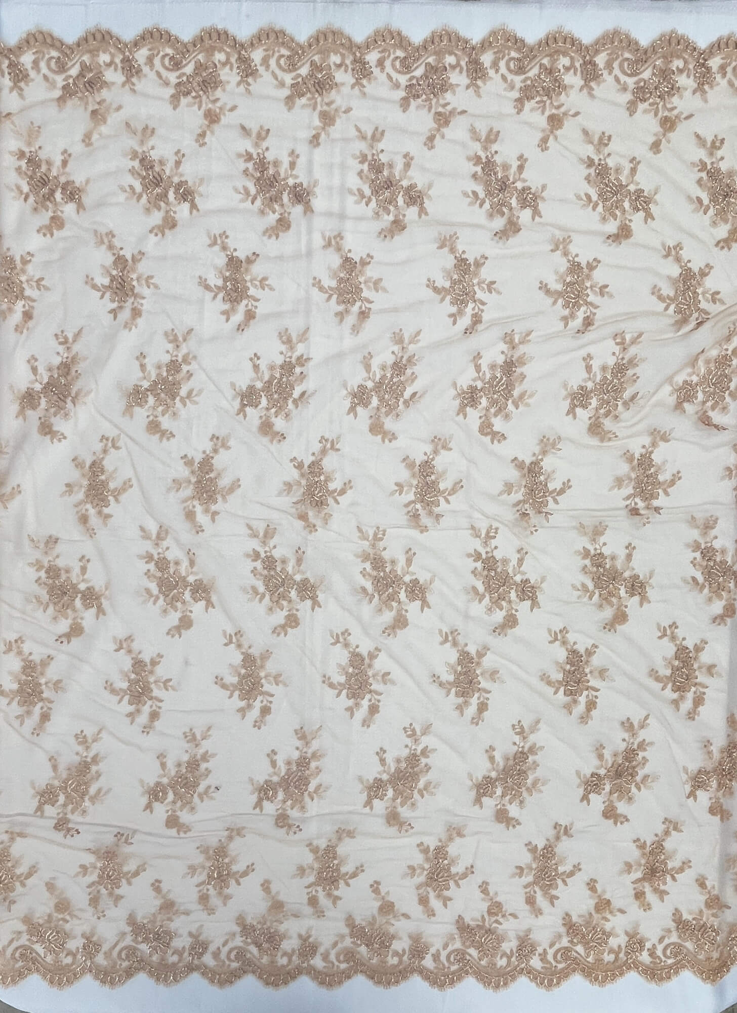 Corded Bridal Lace Fabric - Embroidered Polyester Net Mesh, 56" Width (1 Yard)