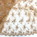 Corded Embroidered Lace Mesh