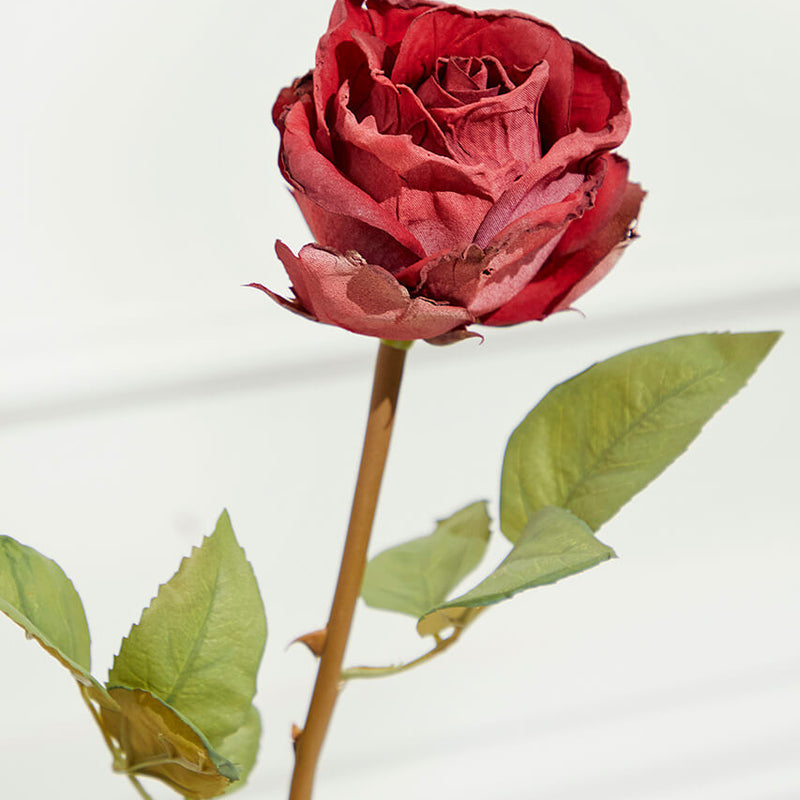 21" Dried Red Rose Stem – Vintage Elegant Floral Decor