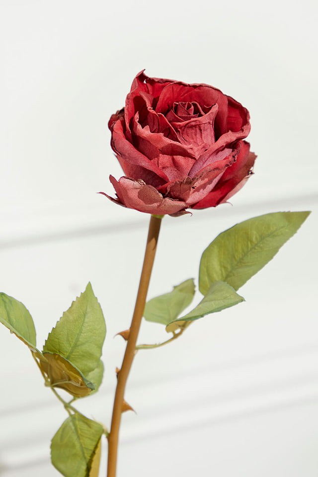 21" Dried Red Rose Stem