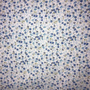 Mini Daisy Floral Poly Cotton Fabric - Fuchsia, Purple, Red, Royal Blue Mini Daisy Floral, 58/60" Width
