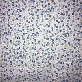 Mini Daisy Floral Poly Cotton Fabric - Fuchsia, Purple, Red, Royal Blue Mini Daisy Floral, 58/60" Width
