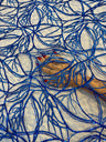 Stretch Sequin Embroidered Mesh