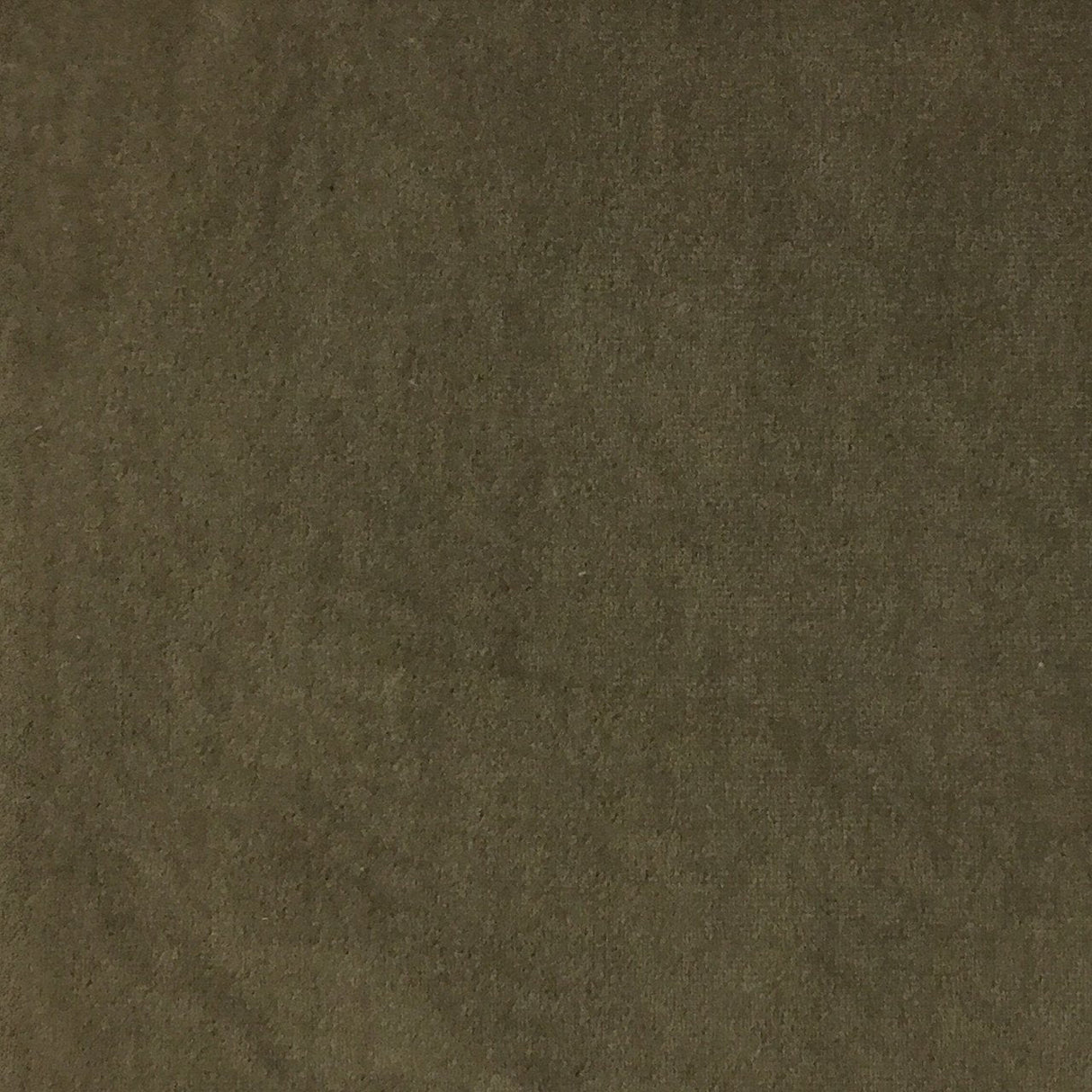Velvet Upholstery Fabric with Foam Backing - Royce