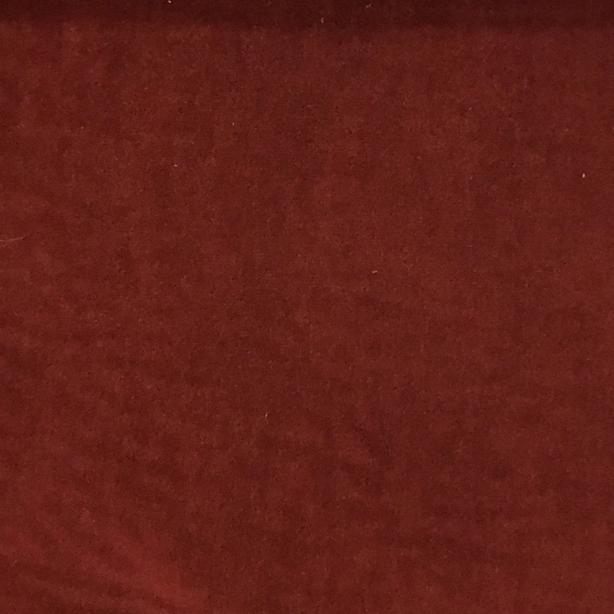 Velvet Upholstery Fabric with Foam Backing - Royce