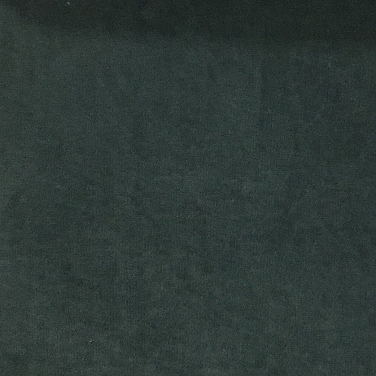 Velvet Upholstery Fabric with Foam Backing - Royce
