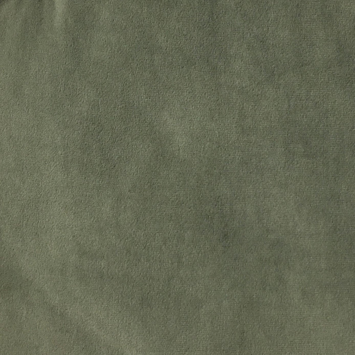 Velvet Upholstery Fabric with Foam Backing - Royce