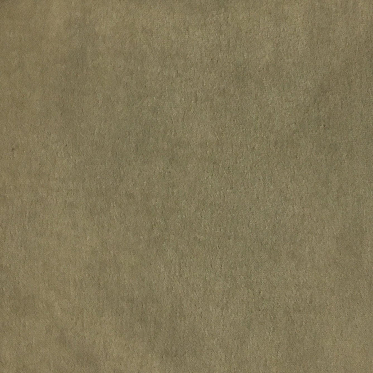 Velvet Upholstery Fabric with Foam Backing - Royce